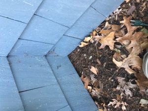 View of a corner of a home looking down from a normal position.  The blue shingles reach down to the mulch with no visible rodent entry points.