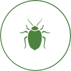Image of a pest control icon