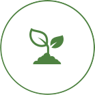 Plant Health Care Icon