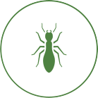 Termite Control Icon