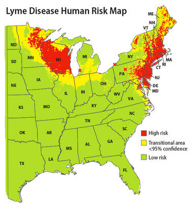 Lyme Disease Boston MA