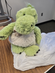 Stuffed animal being eaten by drugstore beetles